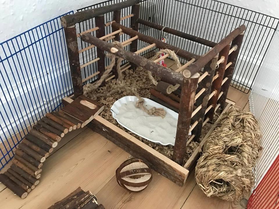 Theodores bur + løbegård billede 13