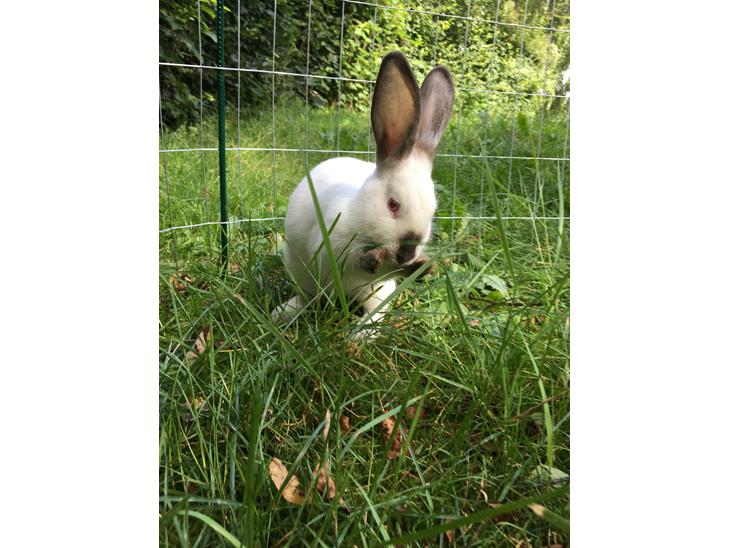 {{currentPhoto.altText}} billede {{currentPhoto.number}}