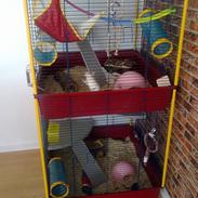 Her bor tammie og freja :)