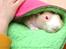 Pinky