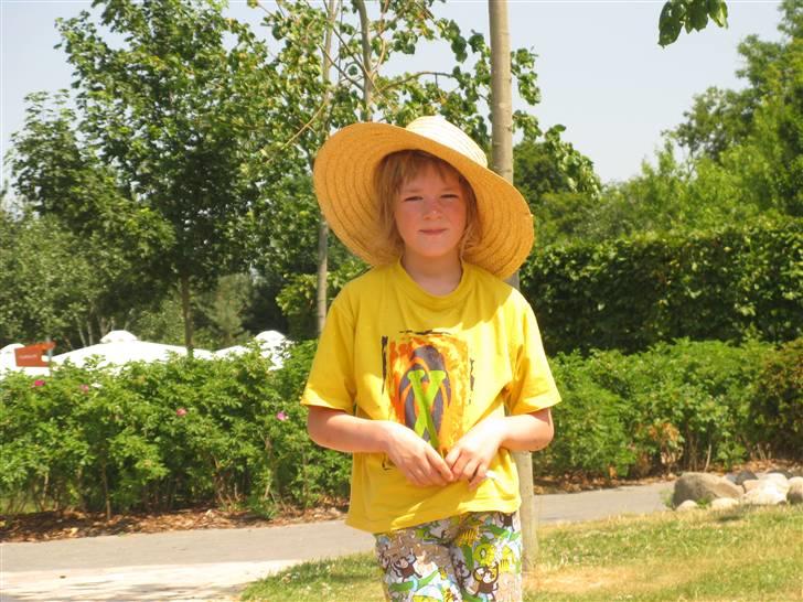 Min kusine holder sience show på Danfoss Universe 8D billede 12