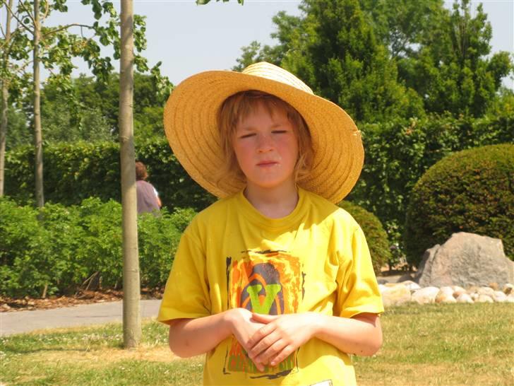 Min kusine holder sience show på Danfoss Universe 8D billede 13