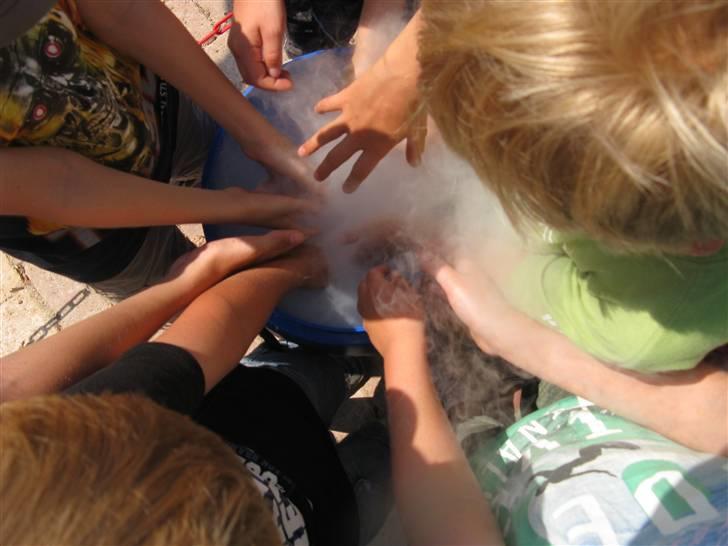 Min kusine holder sience show på Danfoss Universe 8D billede 16