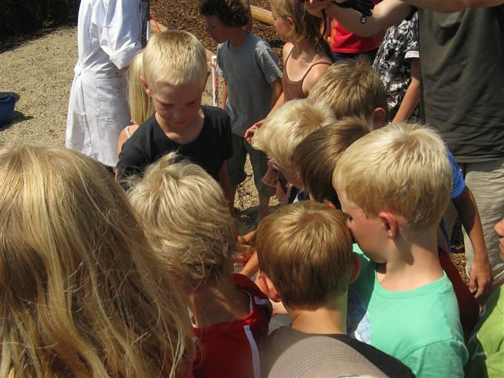 Min kusine holder sience show på Danfoss Universe 8D billede 18