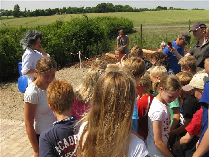 Min kusine holder sience show på Danfoss Universe 8D billede 19