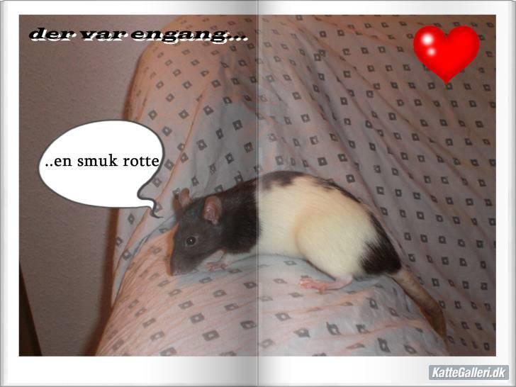 Redigered billeder af mine rotter - Yui. billede 4