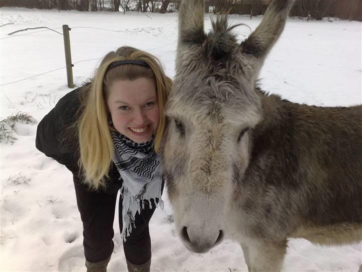 Mine dejlige æsler - Min dejlige puttegøj billede 5