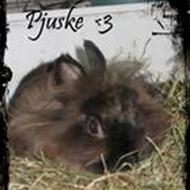 * Emma + Pjuske <3 elsker dig skath..  *