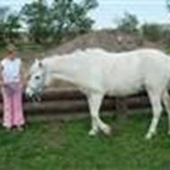 elsker dig bissen <3<3<3 .