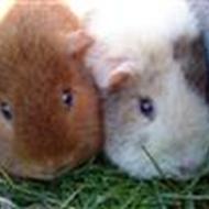 IdaLouise og Katrine Mai S