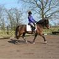 annabell og groggi :