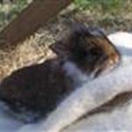 Stald Egeskov (: Destiny :b *