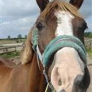 Amalie Nielsen (-: .