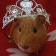 >>Team' happy<< R.I.P du er savnet <333 .