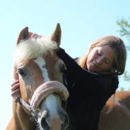 * » Stald Gufferne © « * - R.I.P Emil & Rousette &