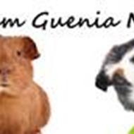 • Team Guenia Mix •