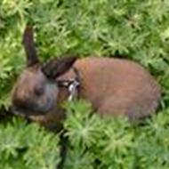 Sabrina+Fighter<3< 3