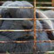 * J.R.M - Jeanette Rolighed Mehl  *