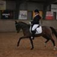                             » ANNE KATRINE POULS .