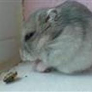 *Eline&tot* miss Petri... K