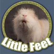 Little Feet