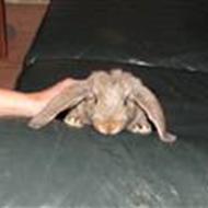 Team Herman & sandra !<3 "" K