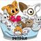 · PetPile ·
