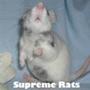 Supreme Rats .
