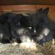 Jumper, den eneste ene<3 <