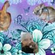 *stald gulerod*(snart med unger )