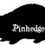 * Pinhedge * *