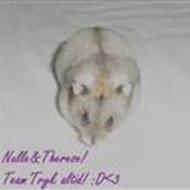 TeamTryk altid! - Nulle&Therese - Elsker dig! <3 .