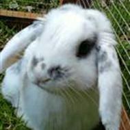 Ingolf&henningRIP... .