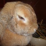 » Sarah&Mille! <3 N