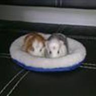 oOPutte&SnefnugLoverOo !