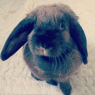 Fnuggi+Ninus<3 love!<3