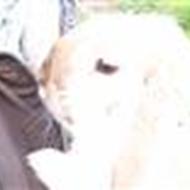 Vi 2 hører sammen  A