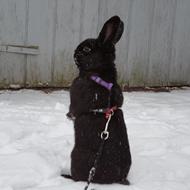 Laura Andersen [ Stald Spir ] !