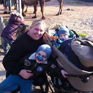 •*•Stald Natter•* •