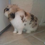 ¤JordbærStalden¤ !