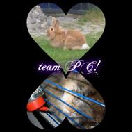 team PC !