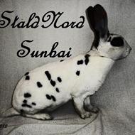 StaldNord Sunbai