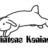 Klintens Kaniner