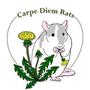 Carpe Diem Rats