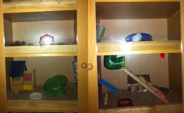 Så fik Trille lige mere plads