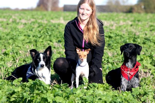 Film-kameramand søges i nordsjælland