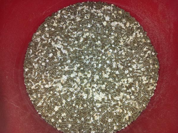 Hvor tit fodre i jeres kaniner:D