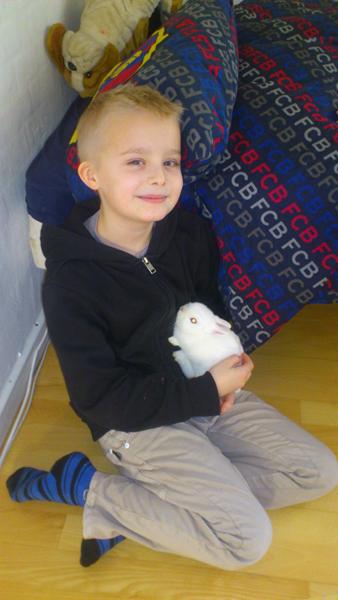 Bundlag til indekanin