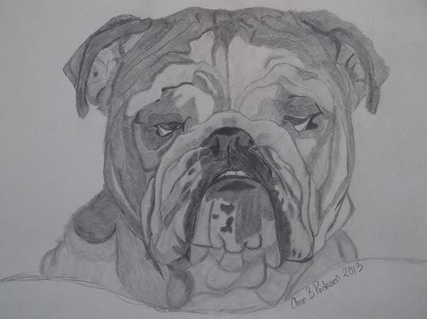 Hvad skal jeg tegne?