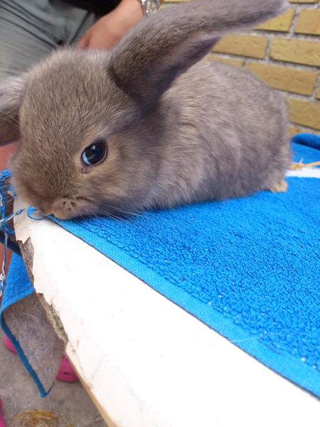 et rigtigt godt navn søges:-)